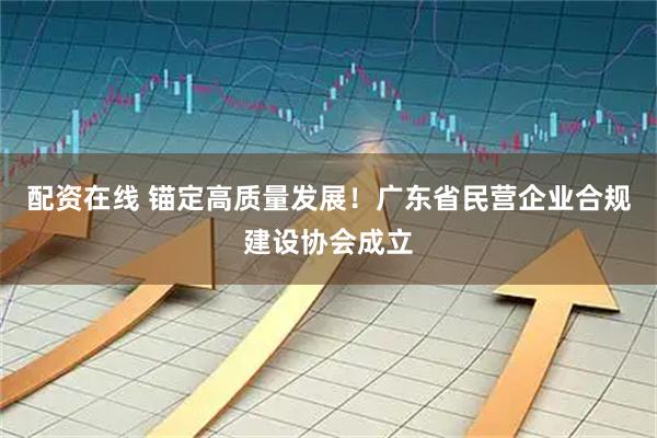 配资在线 锚定高质量发展！广东省民营企业合规建设协会成立