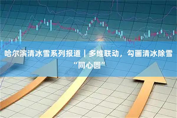 哈尔滨清冰雪系列报道｜多维联动，勾画清冰除雪“同心圆”