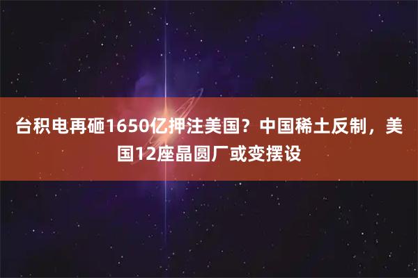 台积电再砸1650亿押注美国？中国稀土反制，美国12座晶圆厂或变摆设